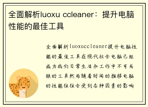 全面解析luoxu ccleaner：提升电脑性能的最佳工具